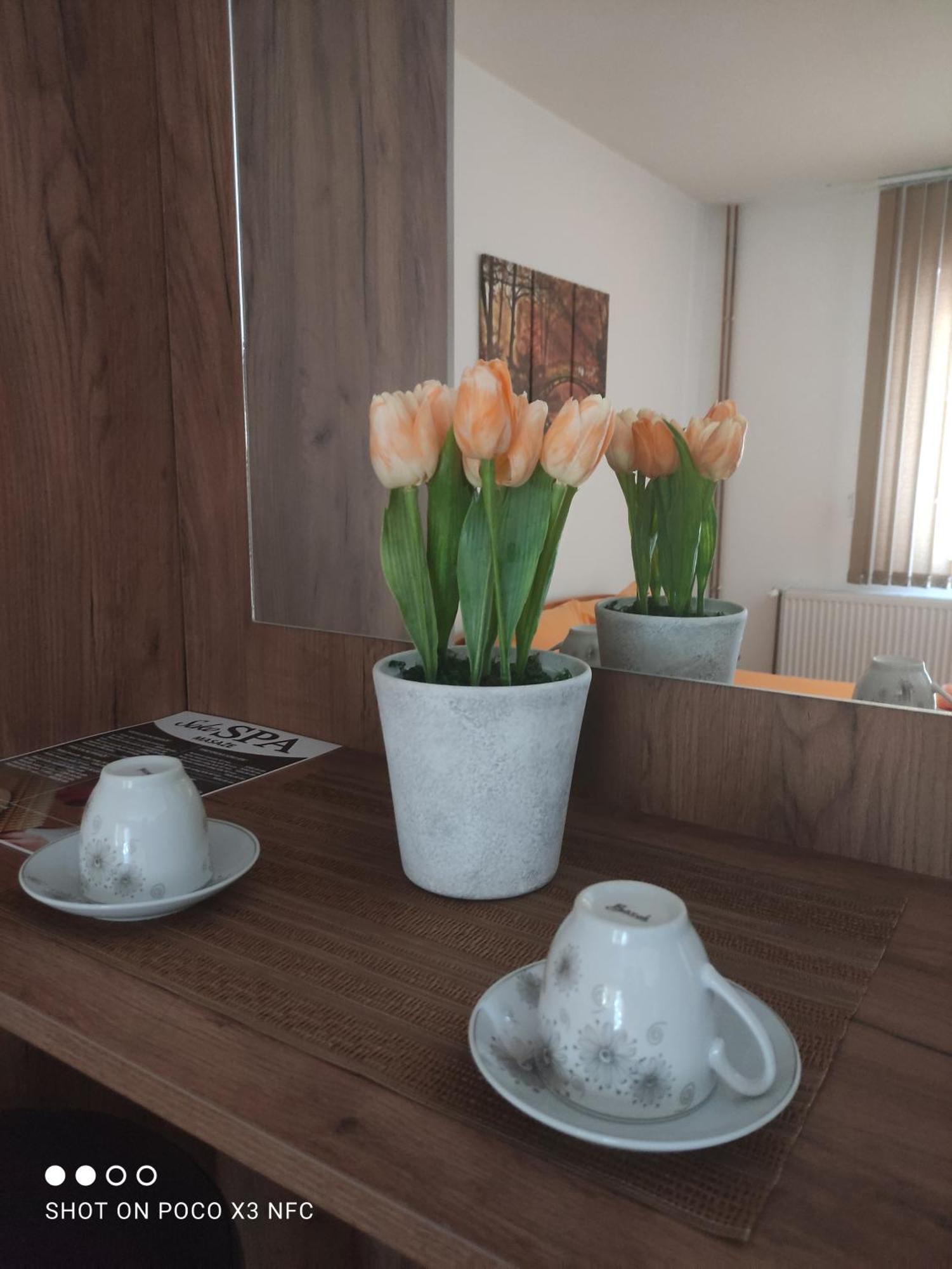 Vila Cair Doplata Za Bazen Sokobanja Buitenkant foto